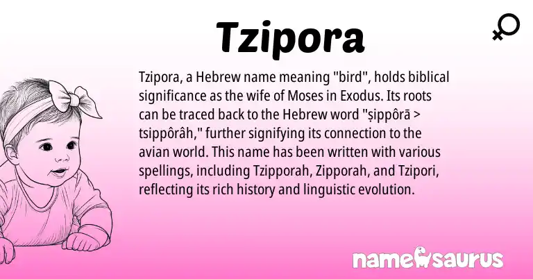 Infographic about Tzipora name meaning, Tzipora is a name from Hebrew origin(s).
