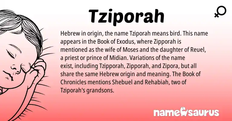 Infographic about Tziporah name meaning, Tziporah is a name from Hebrew origin(s).