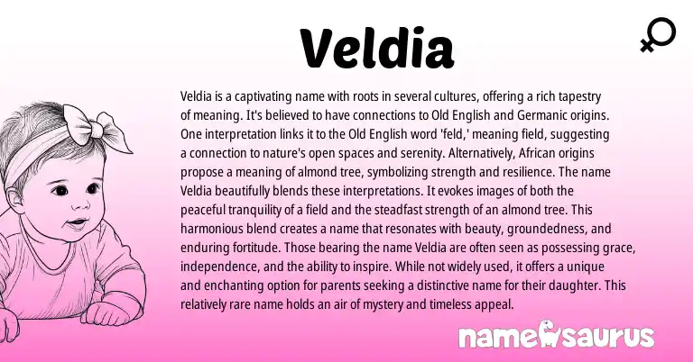 Infographic about Veldia name meaning, Veldia is a name from African, English origin(s).