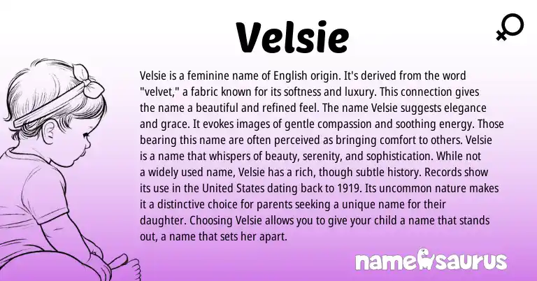 Infographic about Velsie name meaning, Velsie is a name from English origin(s).