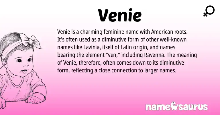 Infographic about Venie name meaning, Venie is a name from American origin(s).