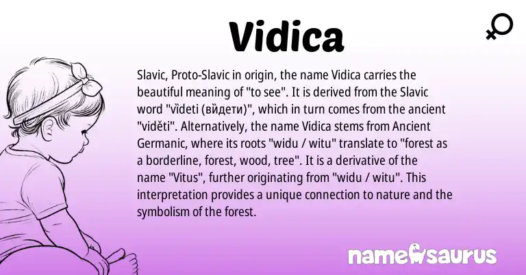 Infographic about Vidica name meaning, Vidica is a name from Slavic, Ancient Germanic origin(s).