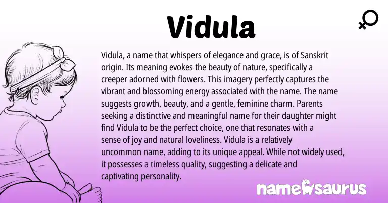 Infographic about Vidula name meaning, Vidula is a name from Malayalam, Indian, Sanskrit origin(s).