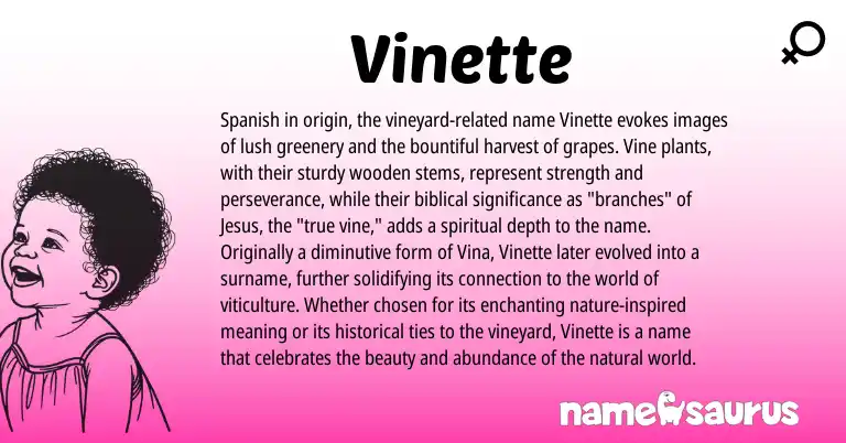 Infographic about Vinette name meaning, Vinette is a name from Spanish origin(s).
