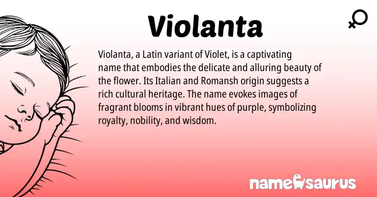 Infographic about Violanta name meaning, Violanta is a name from Romansh, Latin, Italian origin(s).