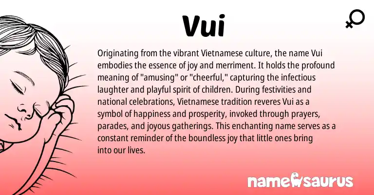 Infographic about Vui name meaning, Vui is a name from Vietnamese origin(s).