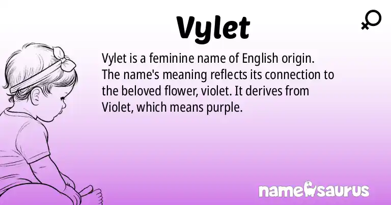 Infographic about Vylet name meaning, Vylet is a name from English origin(s).