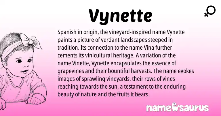 Infographic about Vynette name meaning, Vynette is a name from Spanish origin(s).