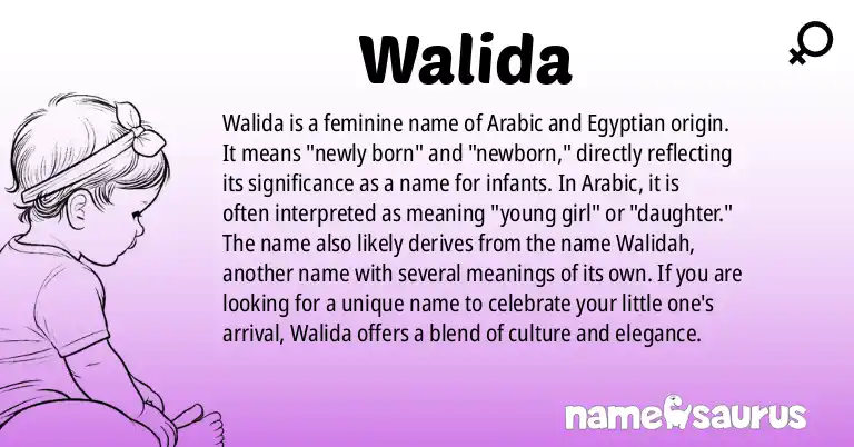 Infographic about Walida name meaning, Walida is a name from Arabic, Egyptian origin(s).