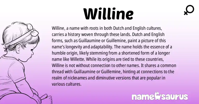 Infographic about Willine name meaning, Willine is a name from Dutch, English origin(s).
