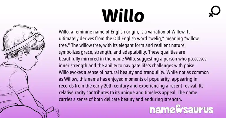Infographic about Willo name meaning, Willo is a name from English origin(s).
