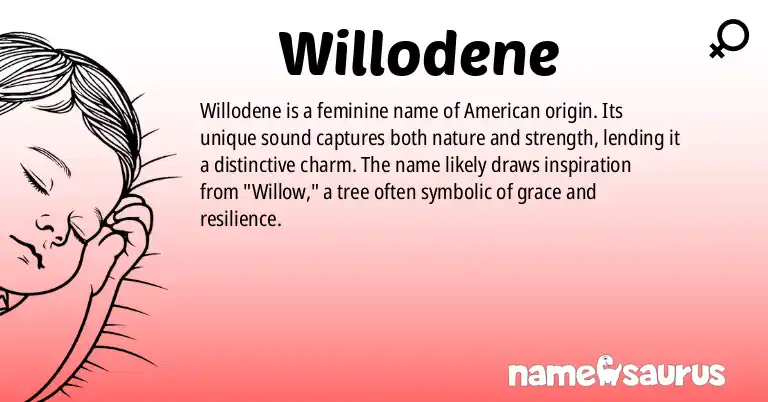 Infographic about Willodene name meaning, Willodene is a name from American origin(s).
