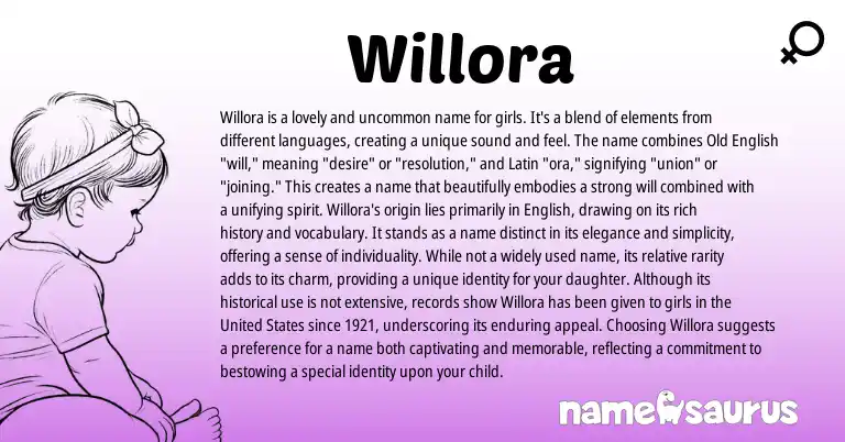Infographic about Willora name meaning, Willora is a name from Latin, English origin(s).