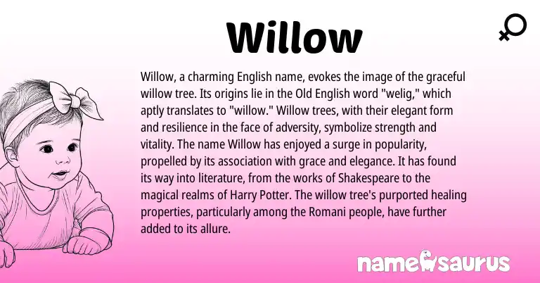 Infographic about Willow name meaning, Willow is a name from Old English, English, Romani origin(s).