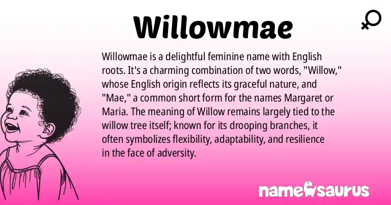 Infographic about Willowmae name meaning, Willowmae is a name from English origin(s).