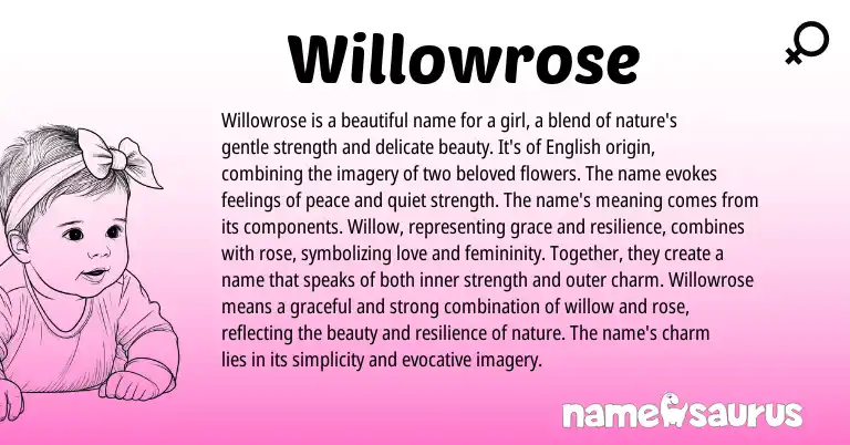 Infographic about Willowrose name meaning, Willowrose is a name from English origin(s).