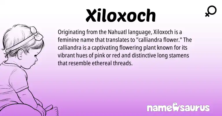 Infographic about Xiloxoch name meaning, Xiloxoch is a name from Nahuatl origin(s).