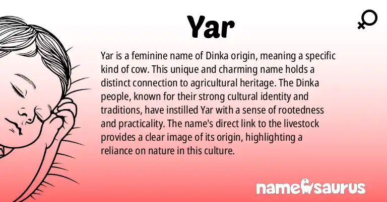 Infographic about Yar name meaning, Yar is a name from Dinka origin(s).