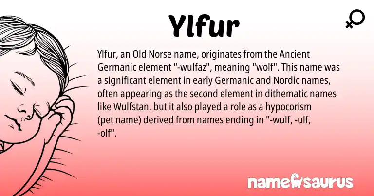Infographic about Ylfur name meaning, Ylfur is a name from Nordic, Old Norse, Germanic, Ancient Germanic origin(s).