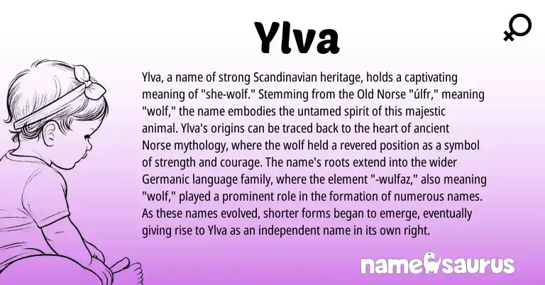 Infographic about Ylva name meaning, Ylva is a name from Scandinavian, Germanic, Old Norse, Norse origin(s).