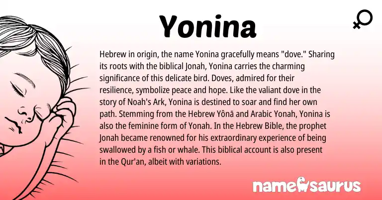 Infographic about Yonina name meaning, Yonina is a name from Arabic, Hebrew origin(s).