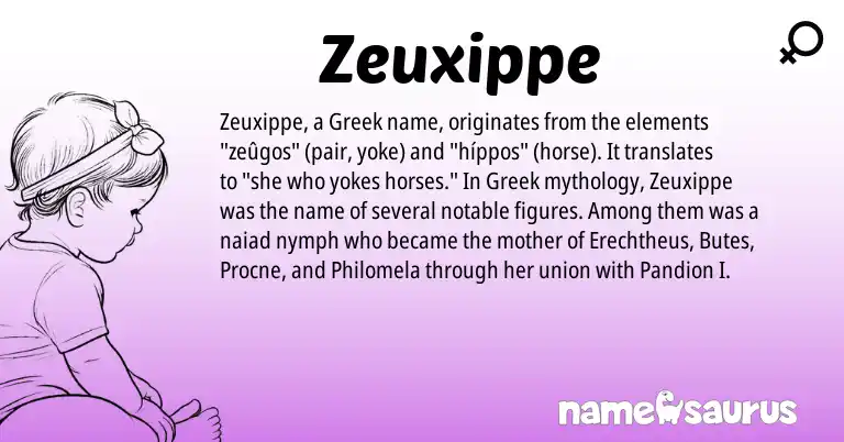 Infographic about Zeuxippe name meaning, Zeuxippe is a name from Greek origin(s).