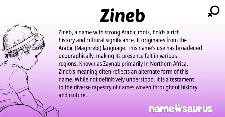 Infographic about Zineb name meaning, Zineb is a name from Arabic (Maghrebi) origin(s).