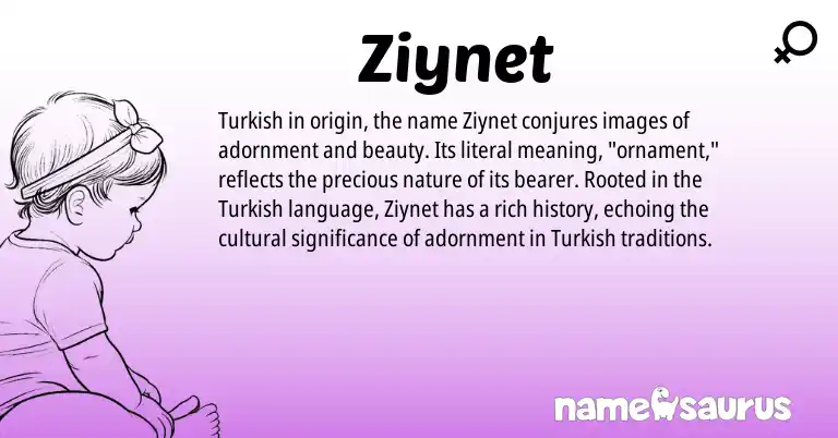 Infographic about Ziynet name meaning, Ziynet is a name from Turkish origin(s).