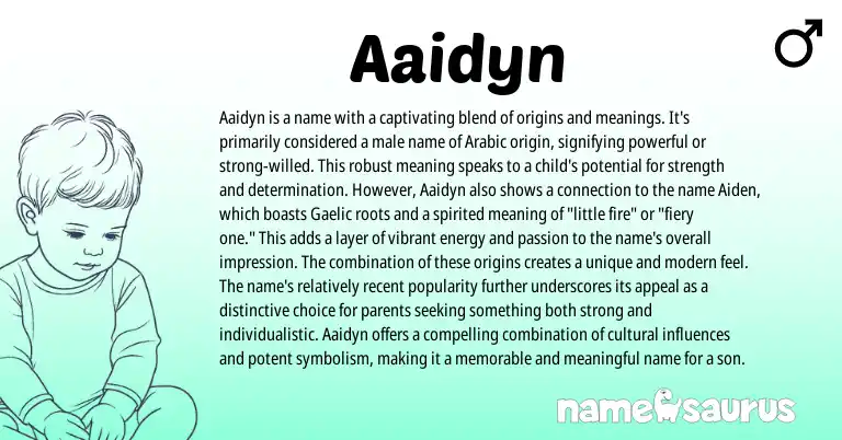 Infographic about Aaidyn name meaning, Aaidyn is a name from Arabic origin(s).