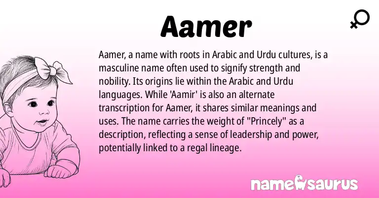 Infographic about Aamer name meaning, Aamer is a name from Arabic, Urdu origin(s).