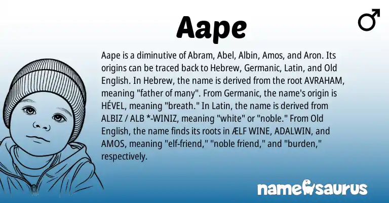 Infographic about Aape name meaning, Aape is a name from Old English, Germanic, Latin, Hebrew origin(s).