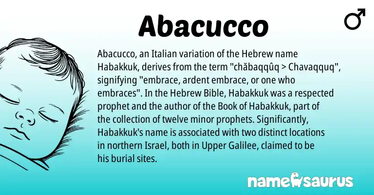 Infographic about Abacucco name meaning, Abacucco is a name from Hebrew, Italian origin(s).