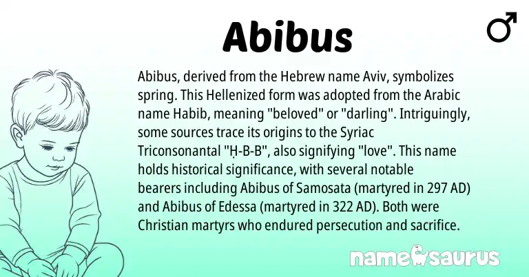 Infographic about Abibus name meaning, Abibus is a name from Arabic, Hebrew origin(s).