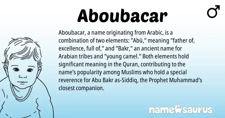 Infographic about Aboubacar name meaning, Aboubacar is a name from Arabic origin(s).