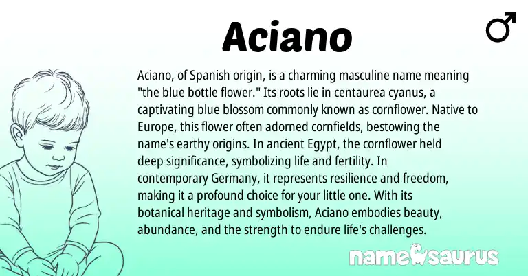 Infographic about Aciano name meaning, Aciano is a name from Spanish origin(s).