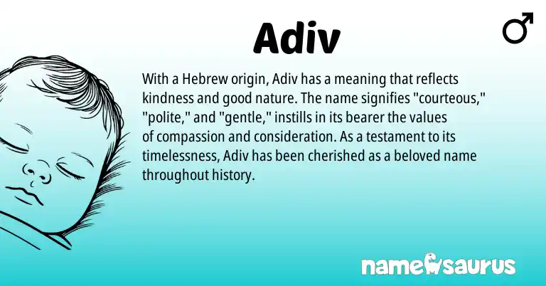 Infographic about Adiv name meaning, Adiv is a name from Hebrew origin(s).