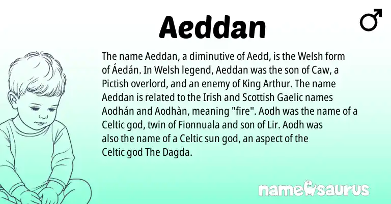 Infographic about Aeddan name meaning, Aeddan is a name from Irish, Welsh, Gaelic, Pictish, Celtic, Scottish origin(s).