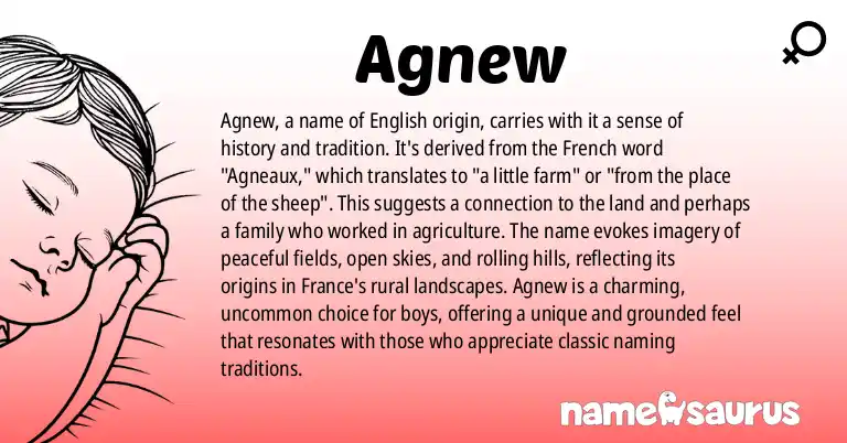 Infographic about Agnew name meaning, Agnew is a name from English origin(s).