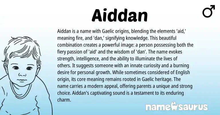 Infographic about Aiddan name meaning, Aiddan is a name from Gaelic, Irish origin(s).