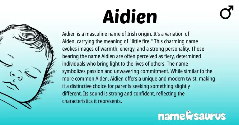 Infographic about Aidien name meaning, Aidien is a name from Irish origin(s).