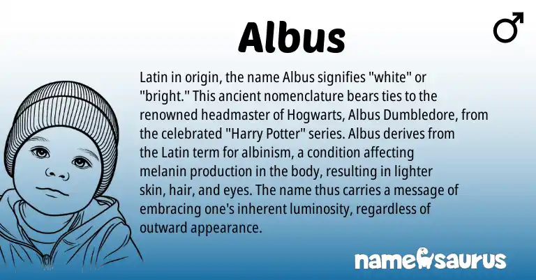 Infographic about Albus name meaning, Albus is a name from Latin origin(s).