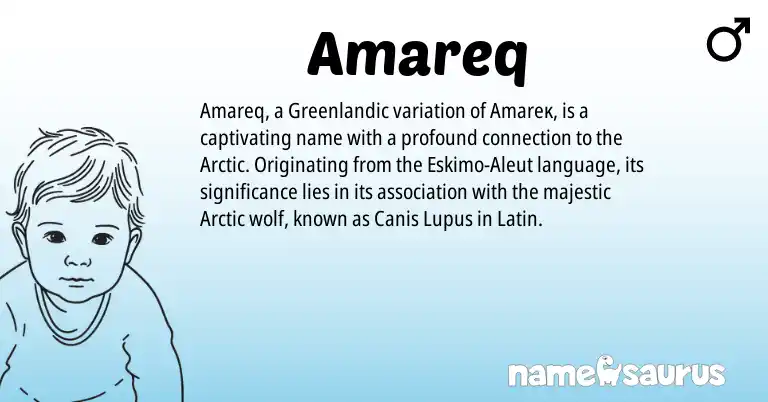 Infographic about Amareq name meaning, Amareq is a name from Aleut, Latin, Greenlandic origin(s).