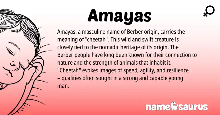 Infographic about Amayas name meaning, Amayas is a name from Berber origin(s).