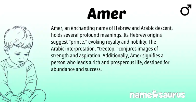 Infographic about Amer name meaning, Amer is a name from Arabic, Hebrew origin(s).