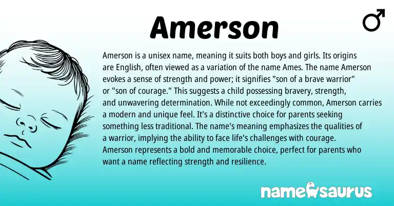 Infographic about Amerson name meaning, Amerson is a name from Other origin(s).