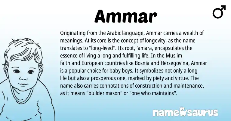 Infographic about Ammar name meaning, Ammar is a name from Arabic, European, Muslim origin(s).