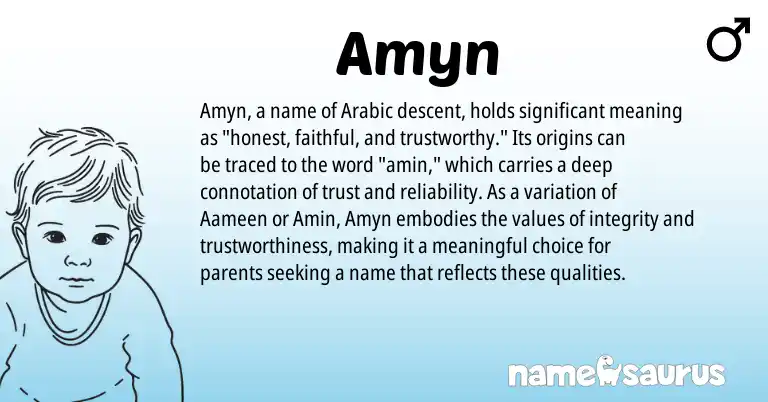 Infographic about Amyn name meaning, Amyn is a name from Arabic origin(s).