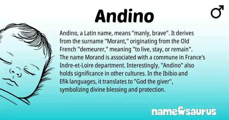 Infographic about Andino name meaning, Andino is a name from Efik, Latin, Old French, Ibibio origin(s).