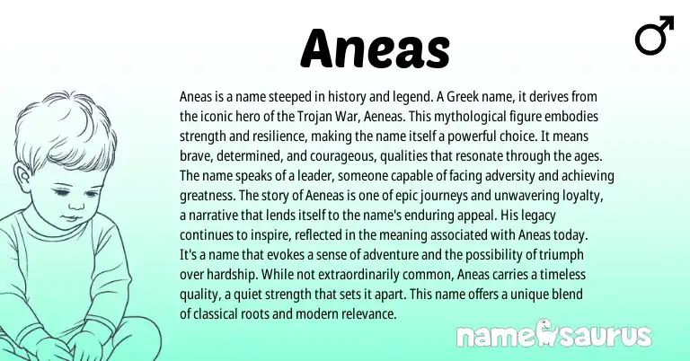Infographic about Aneas name meaning, Aneas is a name from Greek origin(s).