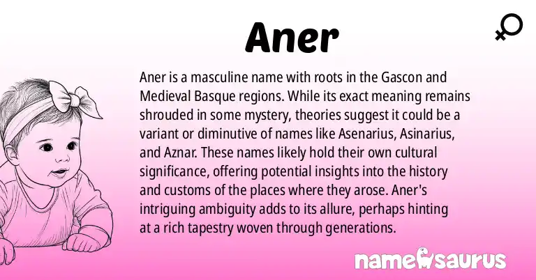 Infographic about Aner name meaning, Aner is a name from Gascon, Medieval Basque origin(s).